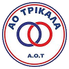 泰利卡拉2011女足 logo