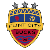 弗林特城 logo