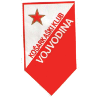 伏伊伏丁那 logo
