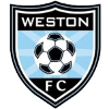 韦斯顿 logo