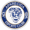 阿帕雷西达U20 logo