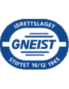 格耐斯特 logo